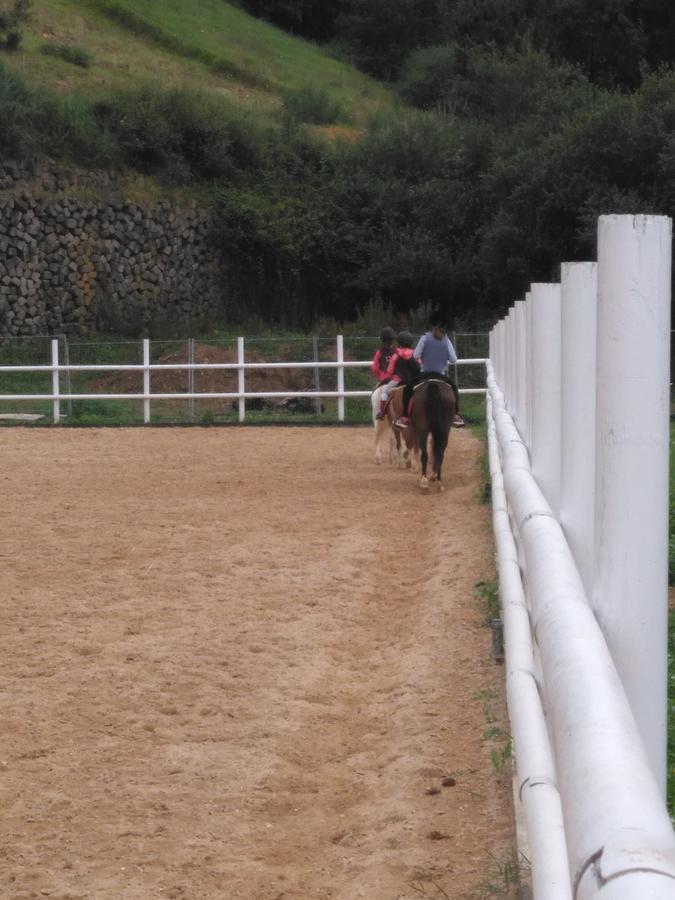 Posada La Cotia Helguera  エクステリア 写真